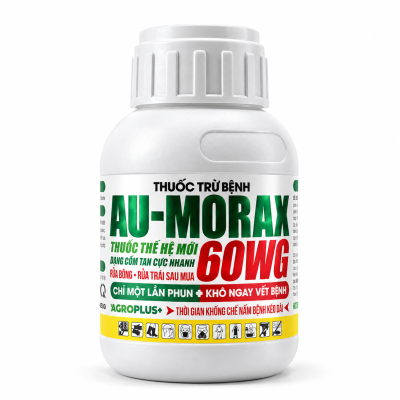 AU-MORAX 60WG | CHAI 50G