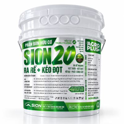 SION 20 | THÙNG 20KG