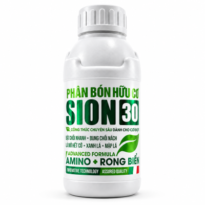 SION 30 | CHAI 500ML