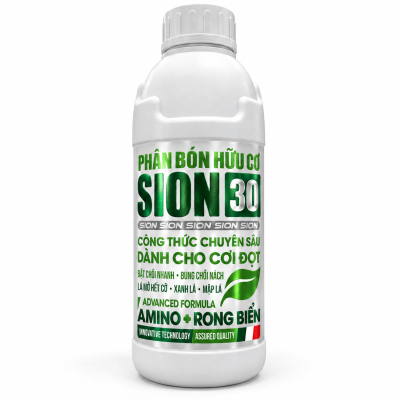 SION 30 | CHAI 1000ML